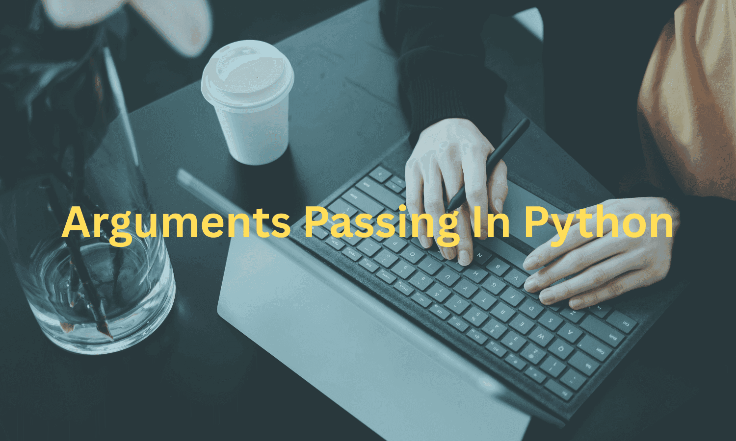 Arguments Passing In Python