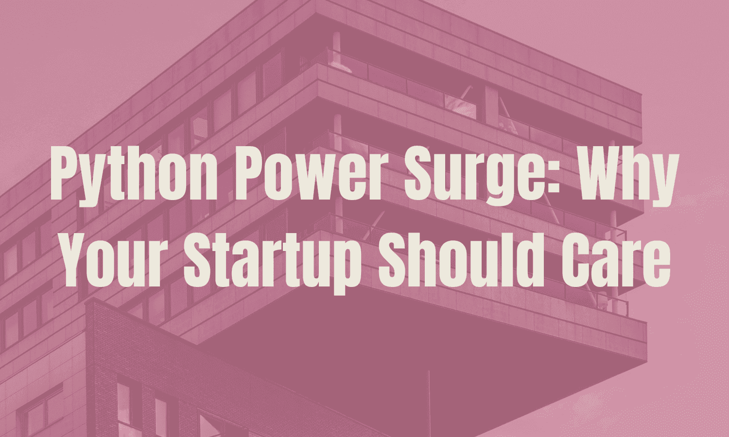 Python Power Surge: Why Your Startup Should Care