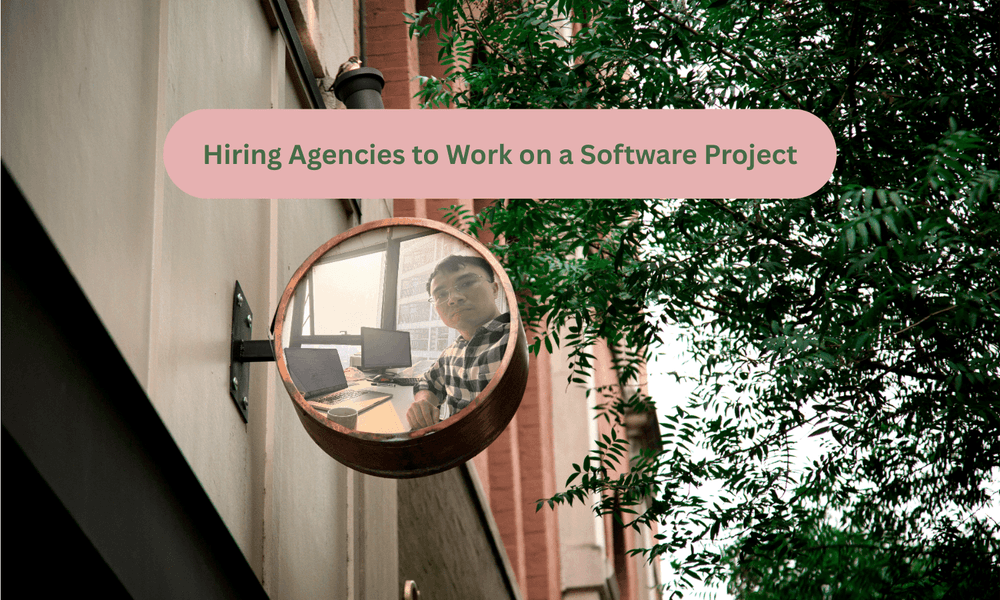 Hiring Agencies to Work on a Software Project