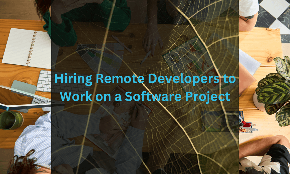 Hiring Remote Developers to Work on a Software Project